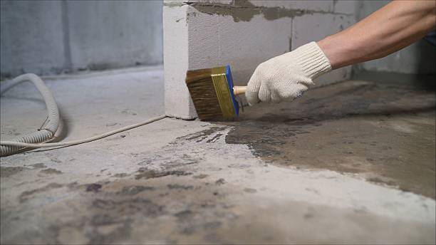 SJ Waterproofing Pros Waterproofing coverage map for Waterloo, IL and surrounding area